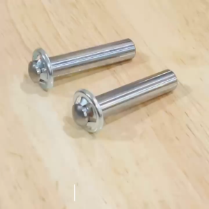 INDOBASE As Plunger Piston Jet Cleaner 10x53.5mm Spare Part Pompa 1Pcs Silver