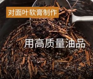 WILLOW Candlebush Cream - Soothing eczema & moisturising 柳树林对面叶软膏 - 舒缓湿疹 & 滋润