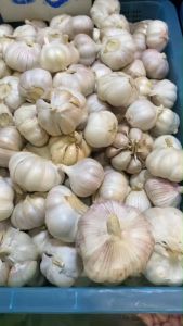 กระเทียม กระเทียมจีน กลีบใหญ่ สดใหม่ รสชาติ 150-180กรัม นำเข้าจากจีน