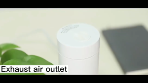 Binnis Portable Mini Electric Thermos Kettle 300W Heating Cup Stainless Steel Thermal Tumbler ph