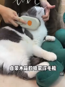 [Pet Hair Removal] Home Salon For Pet Hair removal comb pet