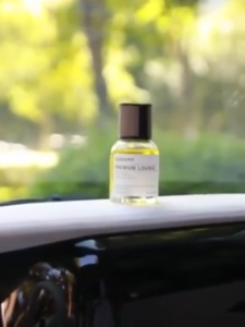 Car Freshener 160ml Car Freshener New Car Scent High-Quality Car Perfume Long Lasting Fragrance