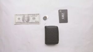TORAS Large Capacity Card Bag RFID Shield Card Clip Credit Card Wallet Zipper Wallet Zero Wallet