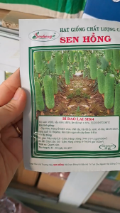 Hạt Giống Bí Đao Lai F1 SH64 SEN HỒNG (Gói 2gr) - Date mới