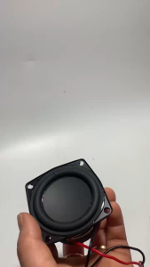 Loa bass 25inch - 65cm MARTIN - gân cao su màng lõm giá 1 cái - hàng nhập
