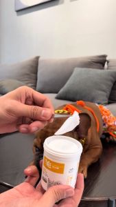 Bông Ướt Lau Tai Chó Mèo EAR Dorrikey Kháng Khuẩn Dễ Dàng Vệ SinhSạch SẽTừ Lô Hội - Hộp 130 miếng