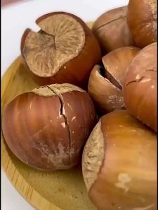 Wild Fresh Roasted Hazelnuts