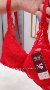Plus Size Women Bra Wired Lace [Lily Bra Shop]