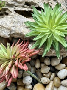 Soft Silicone Succulent Plant Indoor Decorative Faux Green Wall Floor Standing Desert Scenery Materials Chrysanthemum Crown Orchid