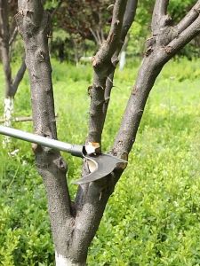 เคียวเหล็กแมงกานิส เคียวแมงกานีส 2in1เคียว เคียวเหล็ก ตัดไม้ ตัดหญ้า ตัดแต่งกิ่ง อเนกประสงค์ เครื่องมือการเกษตร ใหม่ เคียวตัดแต่งกิ่ง ตัดไม้ ตัดหญ้า อเนกประสงค์