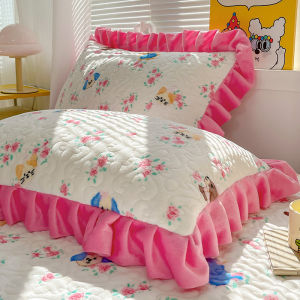 Bộ Hai Chiếc Vỏ Gối Vải Nhung Tuyết Coral Dày Dặn Mùa Đông Phong Cách Hoạt Hình Cho Người Lớn Có Thể Giặt Máy