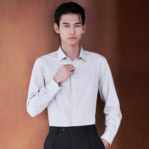 Washable Silk Business Dress Shirt Mens