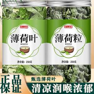 Edible Dried Mint Leaves for Tea