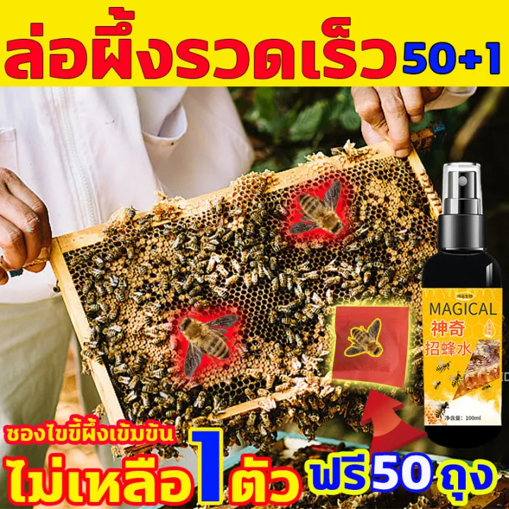 ฟีโรโมนฉีดล่อผึ้งโพรงไทย สูตรเข้มข้น ล่อผึ้งมาเลี้ยง