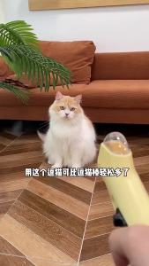 Interactive Cat Freeze-Dried Launcher Pet Training Reward Toy for Cats Dogs Funny Dog Food Launcher Cat Accessories