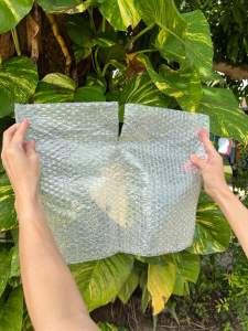 ถุงใส่กล้วยหอม กันกระแทกบับเบิ้ล ขนาด 42 x 32 ซ.ม. (พร้อมส่ง ) 20 ใบ/ห่อ