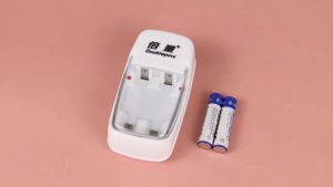 BEST SELLER DOUBLEPOW Charger Baterai 2 slot AA/AAA with 2PCS AA 1200mAh / cas casan charger baterai batre batrei 18650 usb modul tahan lama aa aaa 2 slot fast charging double power multifungsi senter selam abc kecil digital otomatis cepat batrey