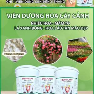 200 viên nén vitamin buViplant dinh dưỡng cho các loại cây