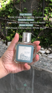 Maple & Finn Rome Perfume 50ML – Oil-Based Fresh Aquatic Citrus Scent – For Men and Women
