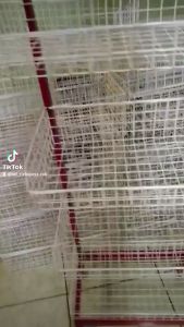 RAK CIKI SNACK UKURAN LEBIH KECIL 4 SUSUN MURAH