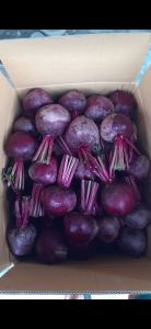 buah bit fresh 1 kg pengiriman dari ciwidey