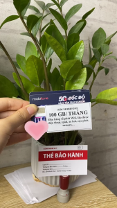 Sim Mobifone 12MFY Data Tốc Độ Cao 100GB/Tháng - Không Nạp Tiền Không Phát Sinh Chi Phí Trọn Gói 12 Tháng. FREESHIP . CHƯA KÍCH HOẠT