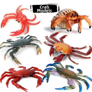 Plastic Educational Crab Toy Model