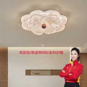 HUANGJIANG | Elegant and Eye-protective Full Spectrum Ceiling Light
