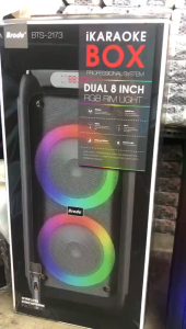 BTS 2173 8X2 inch Wireless karaoke Subwoofer Bluetooth Speaker with Rechargeable Wireless Mic