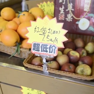 5pcs Penjepit Harga Untuk Jualan Transparan / Jepitan Label Harga / Jepit Harga Obral