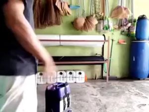 Alat Kocor Pupuk Cair 20 Liter: Alat Pertanian Efisien & Tahan Lama