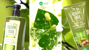 Dầu xả Nguyên Xuân dược liệu dưỡng tóc phục hồi chuyên sâu cao cấp SD024 Việt Nam