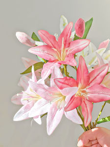 Hoa Lô Hội Giả Bằng Vải Nhung Cao Cấp Trang Trí Bàn Ăn Trang Trí Nhà Chụp Ảnh Hoa Lô Hội Nhỏ Chậu Hoa Trang Trí