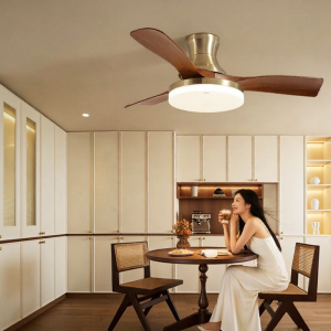 HUIPU ZHAOMING | French Vintage Style Intelligent Eye-protection Walnut Living Room Fan Light