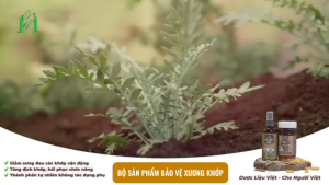 Combo Giảm Đau - Bổ Khớp Mộc Khớp Vương + Viên Khớp  - Thực Phẩm Chức Năng Hỗ Trợ Điều Trị Các Bệnh Về Xương Khớp