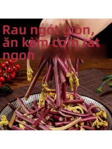 Ready to Eat Wild Fern Pickled Vegetables 200g