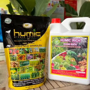 Combo HUMIC MỸ 1kg (dạng miểng) Và HUMIC RICH RONG BIỂN 5 Lít– Dưỡng Cây Khỏe Ra Rễ Cực Nhanh Đâm Chồi Mạnh
