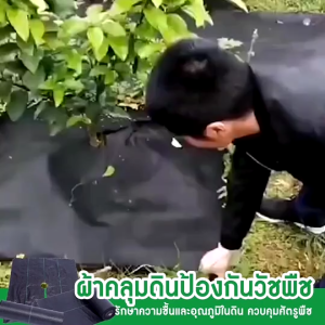 [แบบเพิ่มหนา] ผ้าป้องกันวัชพืชเจาะรู ผ้าป้องกันวัชพืช พลาสติกคลุมดิน วัชพืช ผ้าคลุมดิน กําจัดวัชพืช