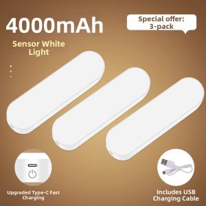 XLYS | Motion Sensor Entrance Light
