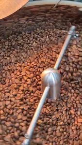 เมล็ดกาแฟคั่ว Ethiopia Anasora Washed Process Light Roast
