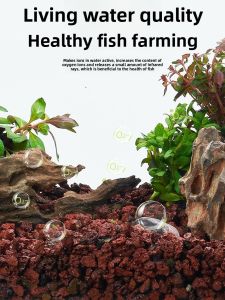 Yee | Natural Decorative Stones Aquarium Filter Material