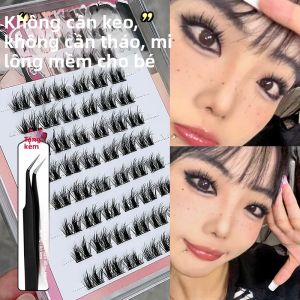 Faiccia | Mi Dán Mềm & Xốp Cho Bé