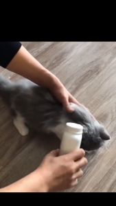 【 Pet Dry Shampoo 】 Cat Dog Cleaning Powder Deodorizing Washing Shampoo Kering Pet Grooming Syampu Mandi Kucing 宠物沐浴干洗粉