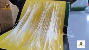 Nasara 1Pcs Mouse & Rat Catcher Sticky Glue Trap Boards For Pest Control Mouse Rat Terminator / Pelekat Tikus / 粘鼠板