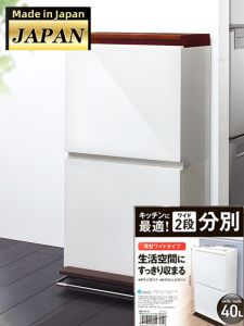 Asvel | Pedal Kitchen Waste Sorter Dual-compartment Trash Can