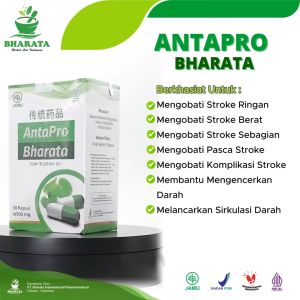 Obat Stroke Paling Ampuh Antapro Bharata Obat Stroke Sebelah I Obat Stroke Ringan Obat Stroke Menahun Herbal Asli Original 100