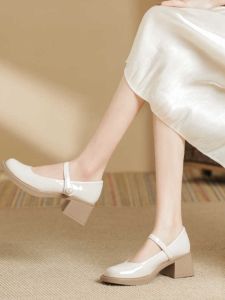 Thick Heel Mary Janes Chunky High Heels Womens New Chinese Style Cheongsam Hanfu Match Skirts Single Shoes Fashionable Pearlescent Leather