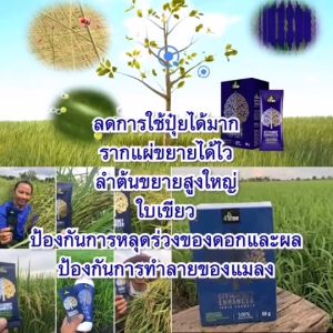 1 กล่อง (10 ซอง) 4Tree โฟร์ทรี สารเพิ่มประสิทธิภาพพืช ลดต้นทุน เพิ่มผลผลิต อาหารเสริมพืช ของแท้ 100% แถมเสื้อ 1 ตัว