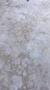 Đầu liềm cong làm vườn đa năng chuyên cắt cành trên cao vạc cỏ cắt cau chặt chuối làm dãyvv