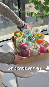 กระถางต้นไม้อวบน้ำ กระถางต้นไม้ 2 ชั้น ไม่ต้องรดน้ำเอง รดน้ำอัตโนมัติ สไตล์นอร์ดิกมินิมอล pot plant พลาสติก